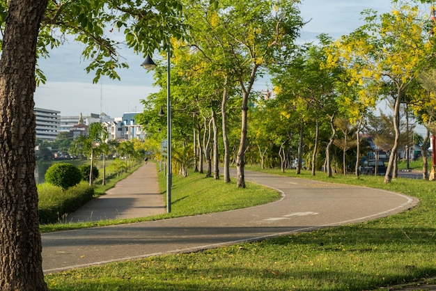 Велосипедная дорожка и беговая дорожка в парке