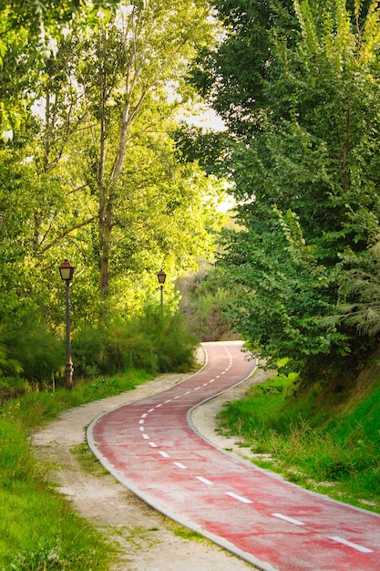 Bike lane with curves between dense vegetation, in Arroyomolinos, Madrid (Spain).