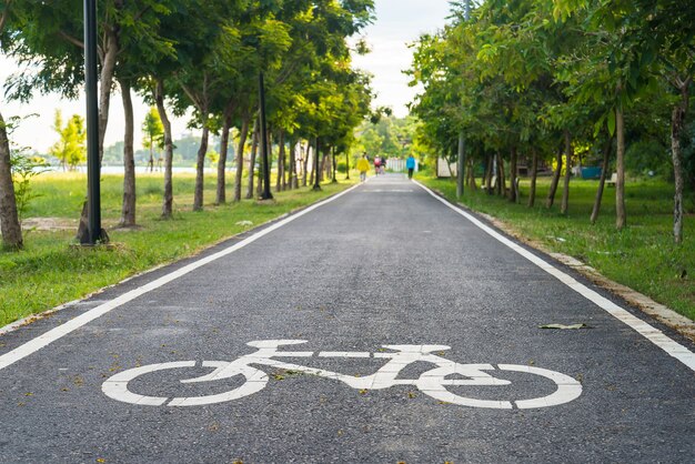 写真 自転車専用車線