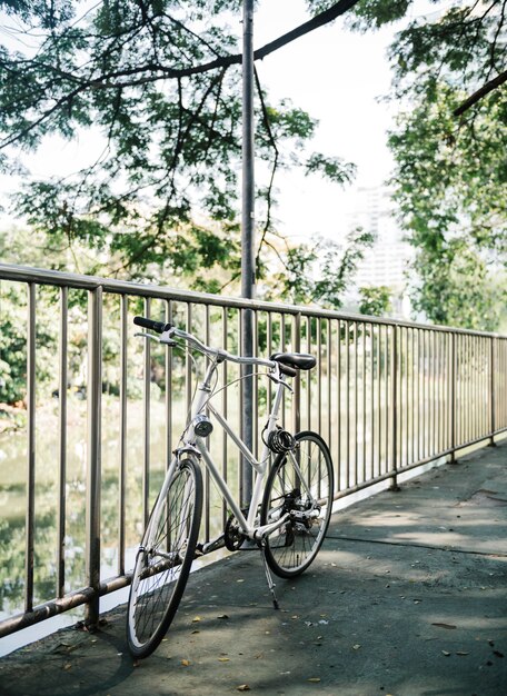 Bike in a park pathway