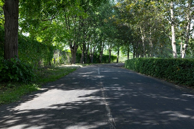 Bike path in the park