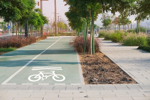 Photo bike path next to the pedestrian path in the city park