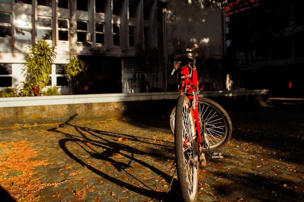 自転車完璧