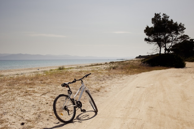 The bike on the road