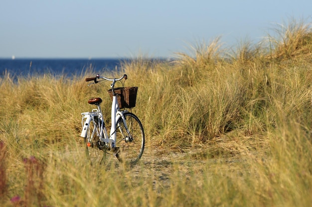 デンマーク、アマー島の海岸に立っている自転車