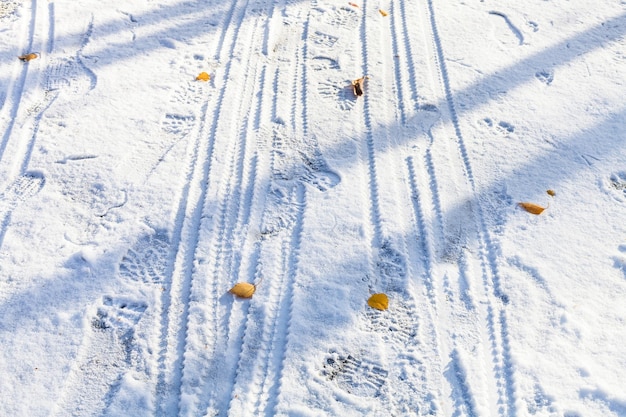 Bike trails in the first snow in autumn