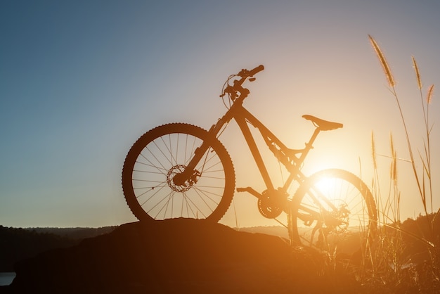 自転車のホイール黄金乗馬シルエット