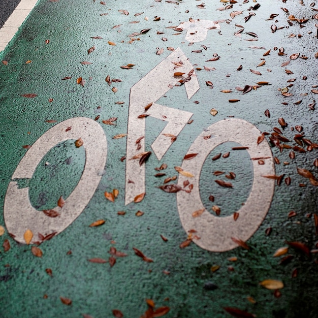 Biking lane symbol in manhattan, new york city, u.s.a.