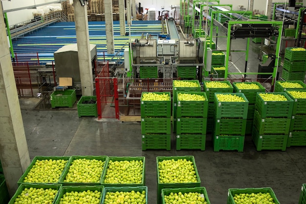 Binnenaanzicht van fruitverwerkingsfabriek met machines voor het wassen en sorteren van appels.