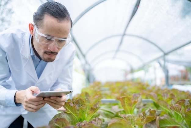 Binnenlandbouwkundig onderzoek in laboratorium, groene natuurtechnologie in landbouwwetenschappelijke biologie