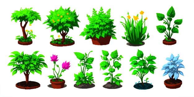 Binnenplanten op een lichtgrijze achtergrond een reeks illustraties