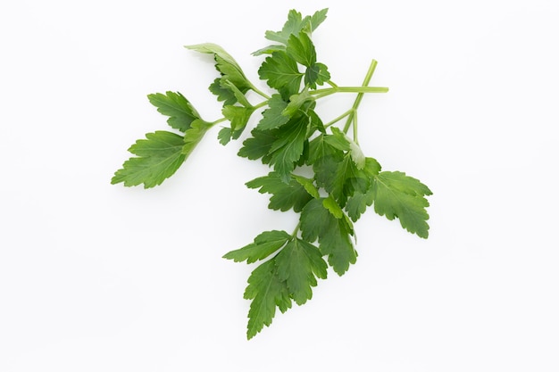 Bio parsley leaf on white background.