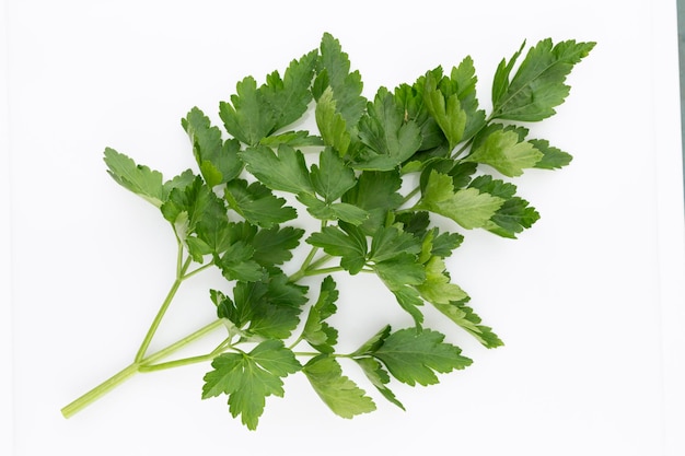 Photo bio parsley leaf on white background.