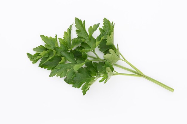 Bio parsley leaf on white background