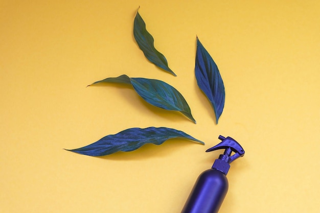 bio products concept black spray container and green leaves