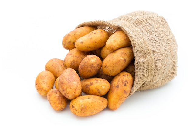 A bio russet potato isolated white 