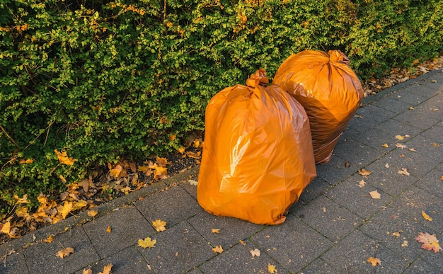 Biodegradable garbage bags for collecting fallen autumn leaves at the street