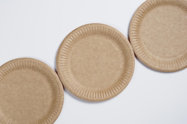 Biodegradable paper plate