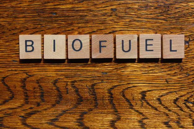 Photo biofuel word as banner headline