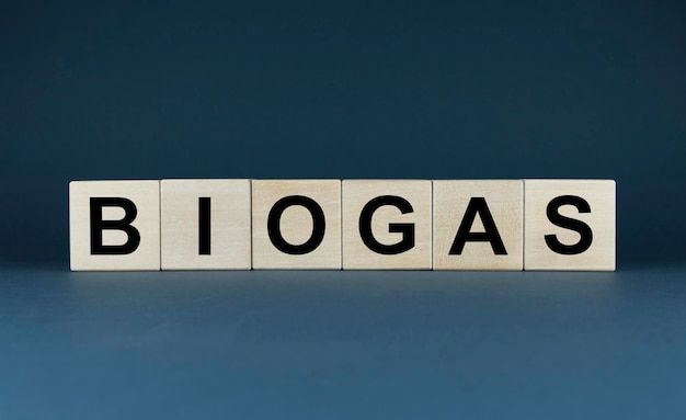 Biogas fuel Cubes form the word biogas