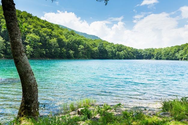 Biograd lake, Montenegro