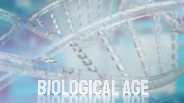 Биологический возраст на фоне ДНК для научной или медицинской концепции 3d-рендеринга