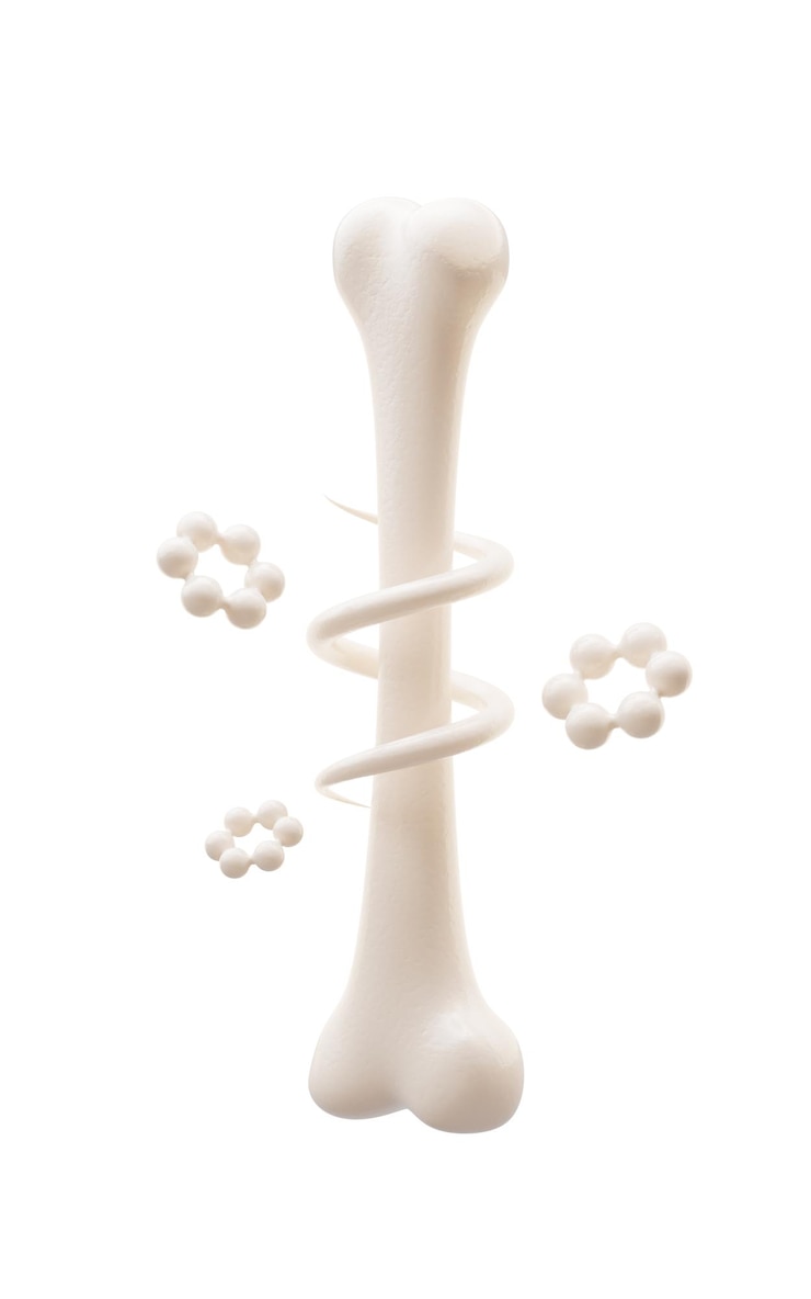 Photo biological anatomy of the skeleton and bone health 3d rendering