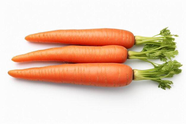 biologisch vegetarisch veganistisch kruidenierswinkel fruit groente vers