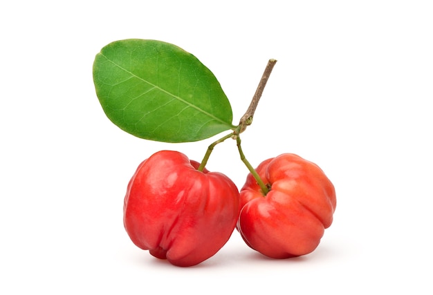 Biologische acerola-kers met waterdruppeltjes