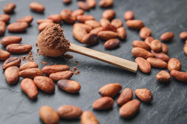 Biologische cacaobonen, cacaopoeder in een houten lepel en chocolade op een zwarte stenen achtergrond