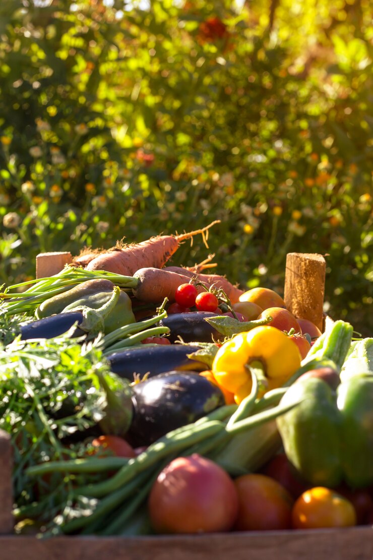 Biologische groenten uit de moestuin