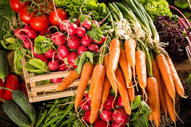Biologische groenten, wortelen, sla, radijs
