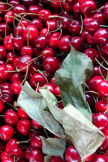 Biologische Heerlijke Fruit Rode Kers Foto