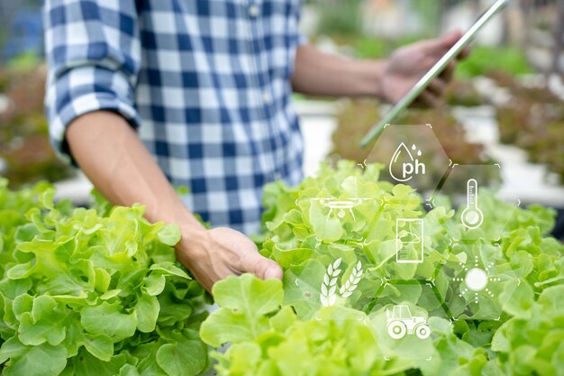 Biologische landbouwsaladeboerderij boeren controleren het kwaliteitsrecord opnieuw op de applicatie op tablet