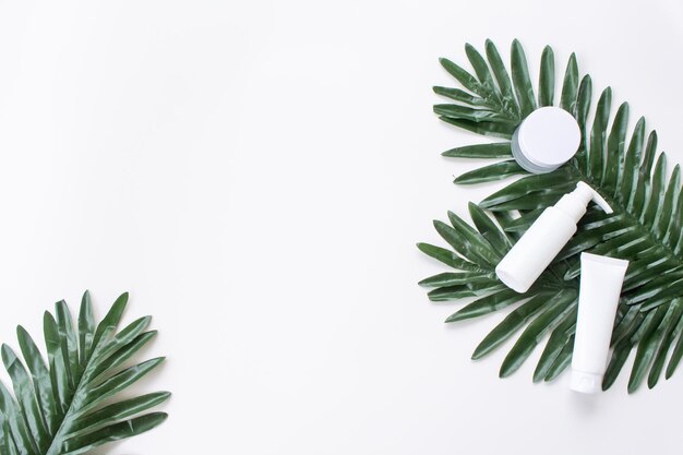 Biologische natuurlijke schoonheidsverzorging met groene actuele bladeren Schoonheidsproduct in flatlay-stijl