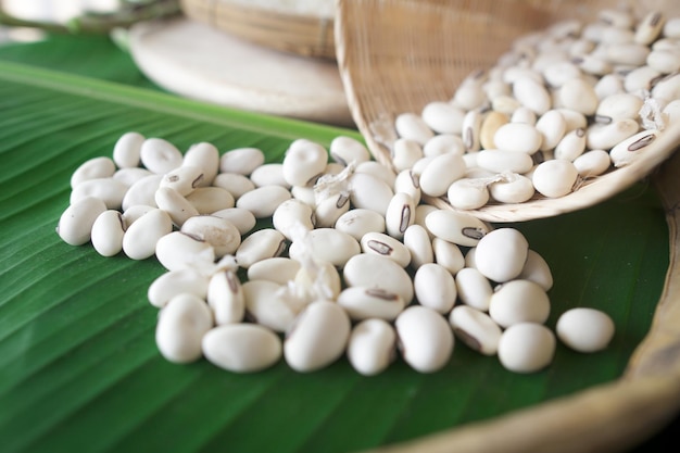 Foto biologische navy bean uit thailand.