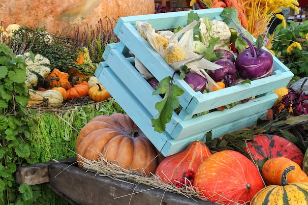 Biologische pompoen en groente in houten kist op landbouwbeurs. Het oogsten van het concept van de herfsttijd. Ga