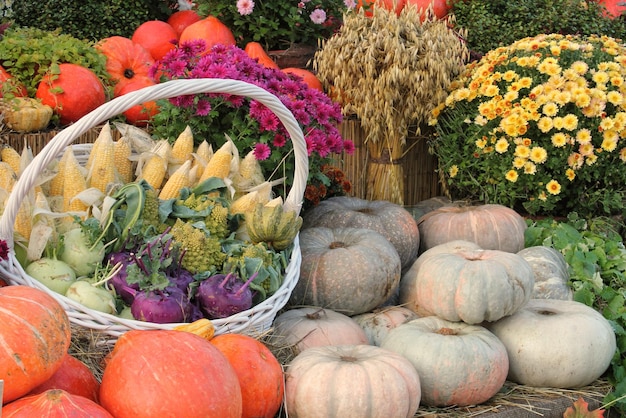 Biologische pompoen en groente in rotanmand op landbouwbeurs. Het oogsten van het concept van de herfsttijd.