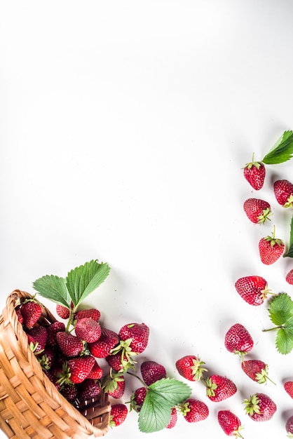 Biologische rijpe aardbei