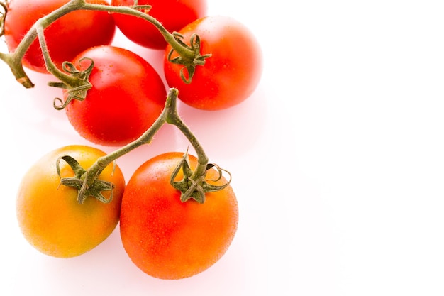 Biologische Roma-tomaten op witte achtergrond.