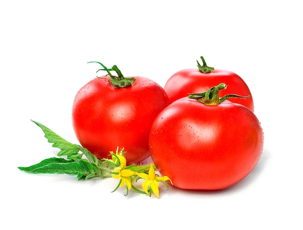 Biologische tomaten met groene bladeren op witte achtergrond. Bio Food Concept