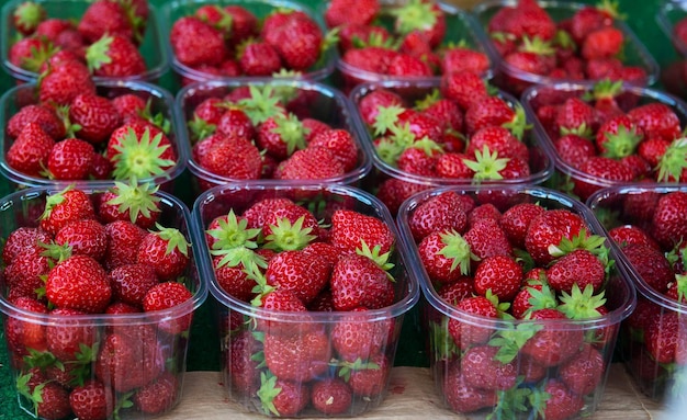 Biologische verse aardbeien in plastic containers op marktkraam