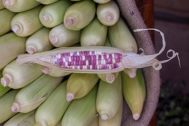 Biologische verse zoete maïs te koop op een lokale boerenmarkt in Bali Indonesië Close up