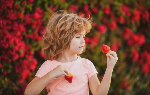 Biologische voeding kind eet aardbeien de schooljongen eet gezond voedsel gelukkig kinderconcept