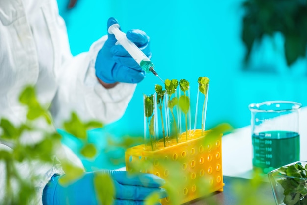 biologist examining plant seedling