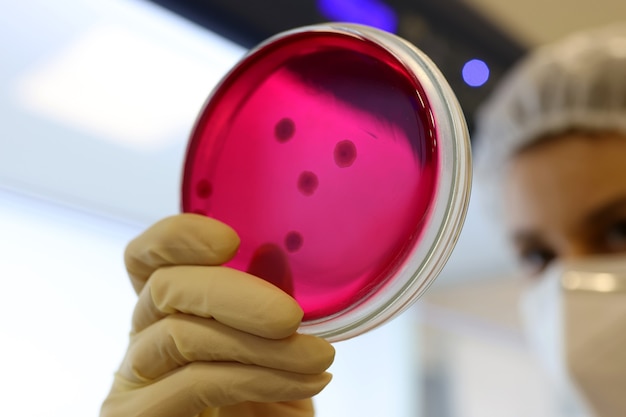 Biologist in the lab working with bacteria