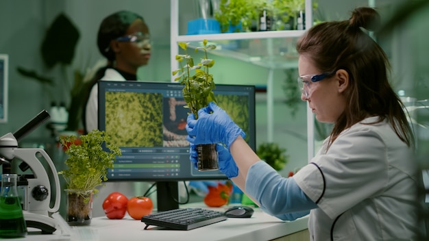 Photo biologist scientific doctor examining green sapling while typing on keyboard ecology expertise. womanresearcher observing genetic mutation on plants, working in agriculture laboratory