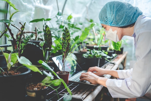 Scienziato di biologia che lavora per ricercare una pianta di crescita in serra agricola, tecnologia di scienza organica della natura o biotecnologia in laboratorio di botanica, persone che esaminano verdura per l'industria alimentare