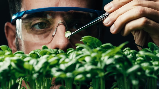 Bioloog bestudeert plantengroei