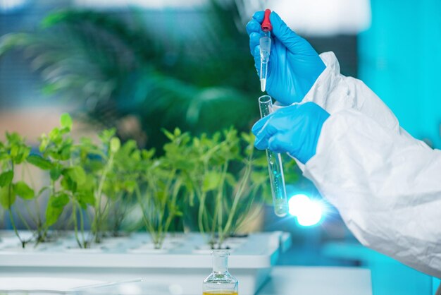 Bioloog doet experimenten met planten